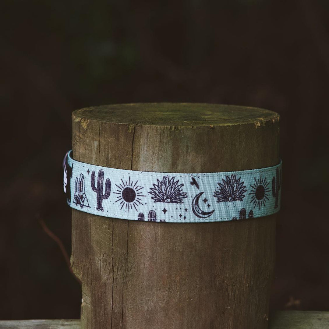 Agave Desert Trail Hound Collar