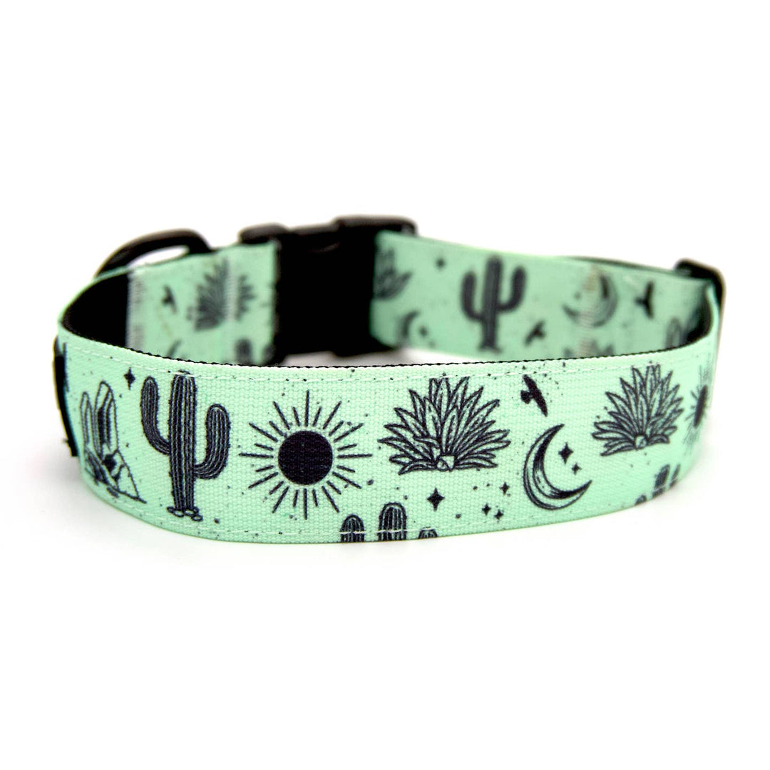 Agave Desert Trail Hound Collar