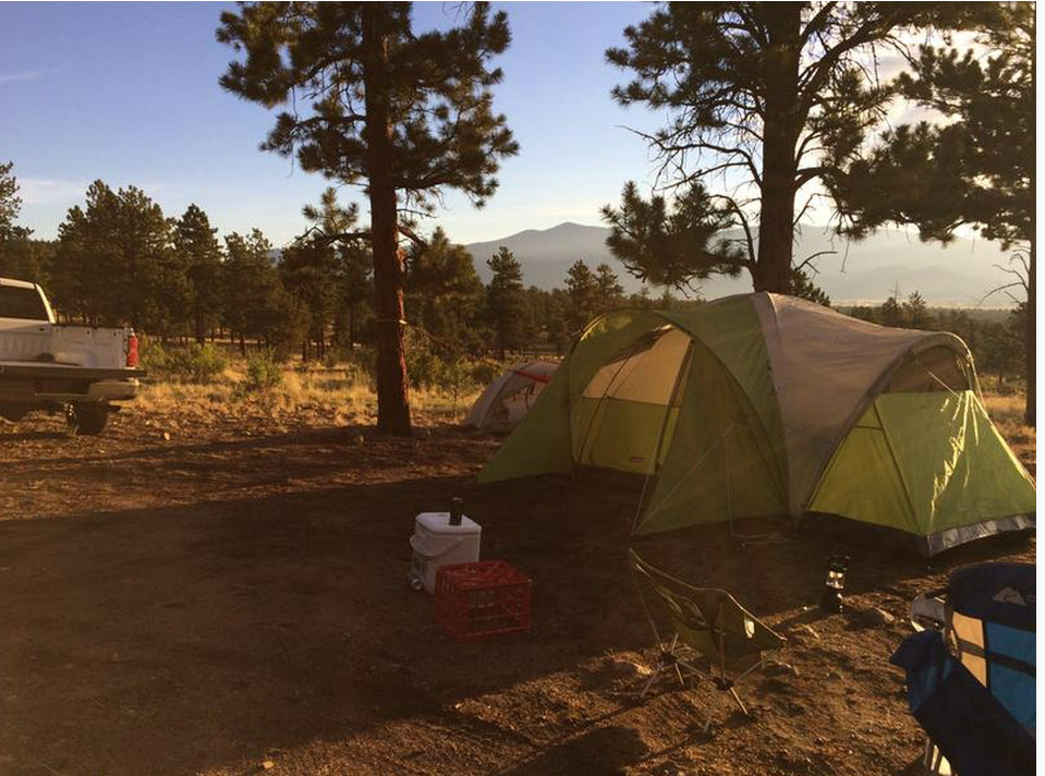 Montana 8 Person Tent
