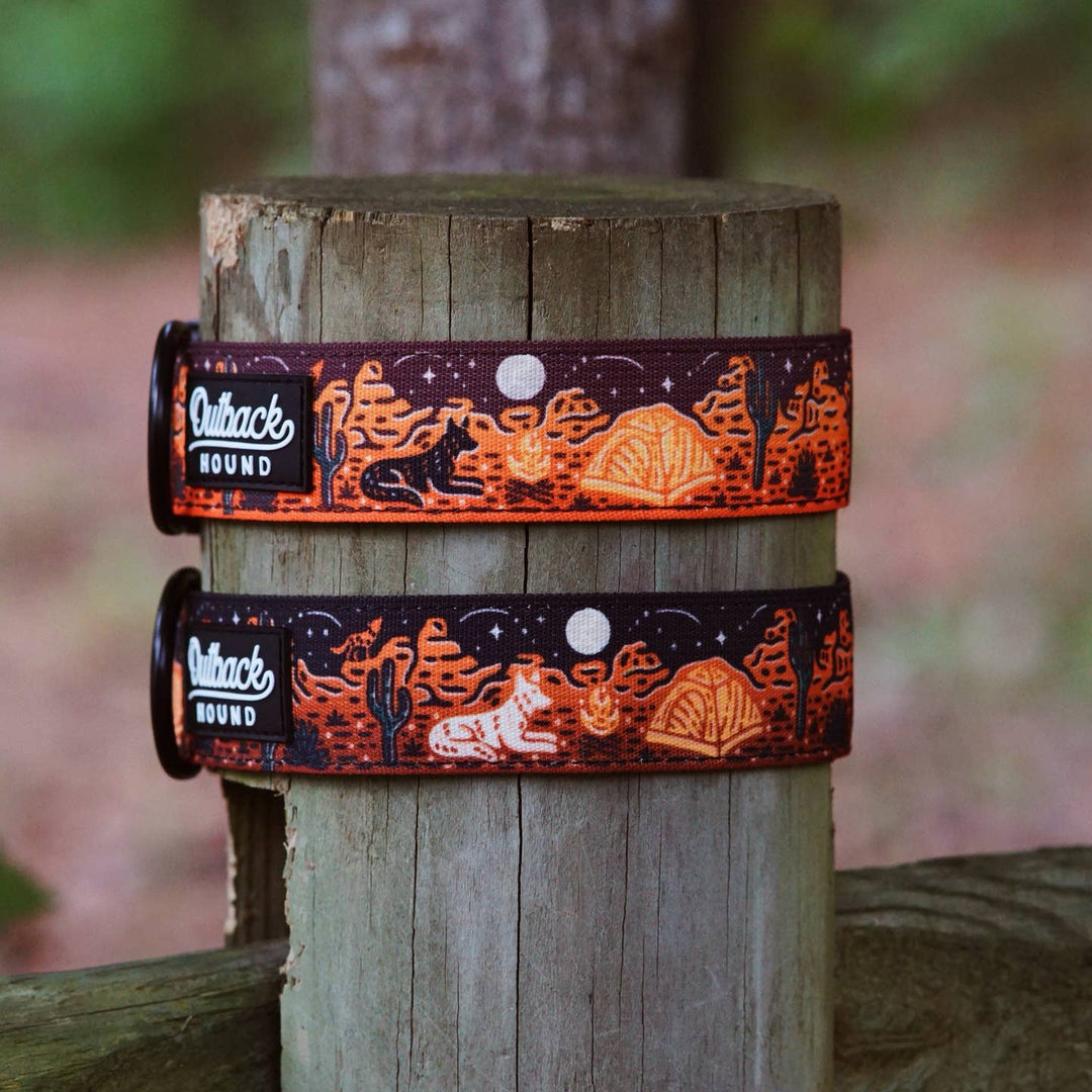 Desert Camp Out Collar