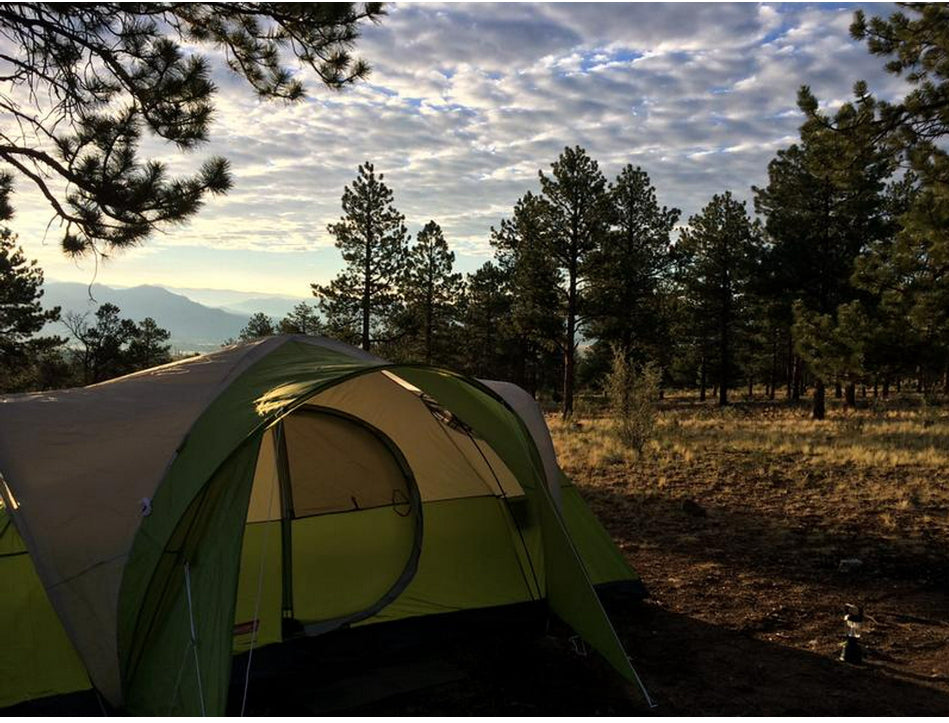 Montana 8 Person Tent