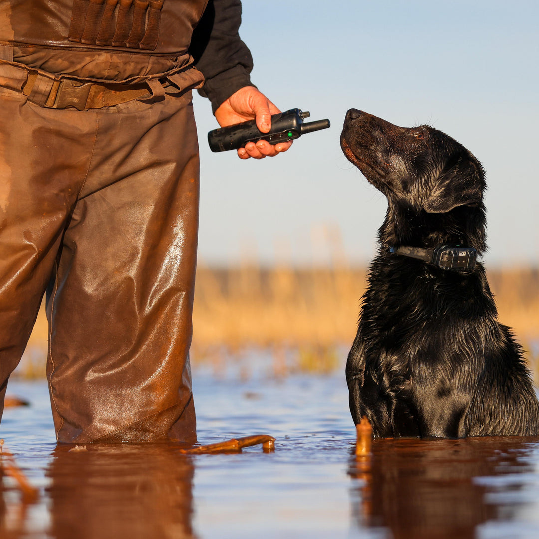 Garmin® PRO 550 Dog Training System