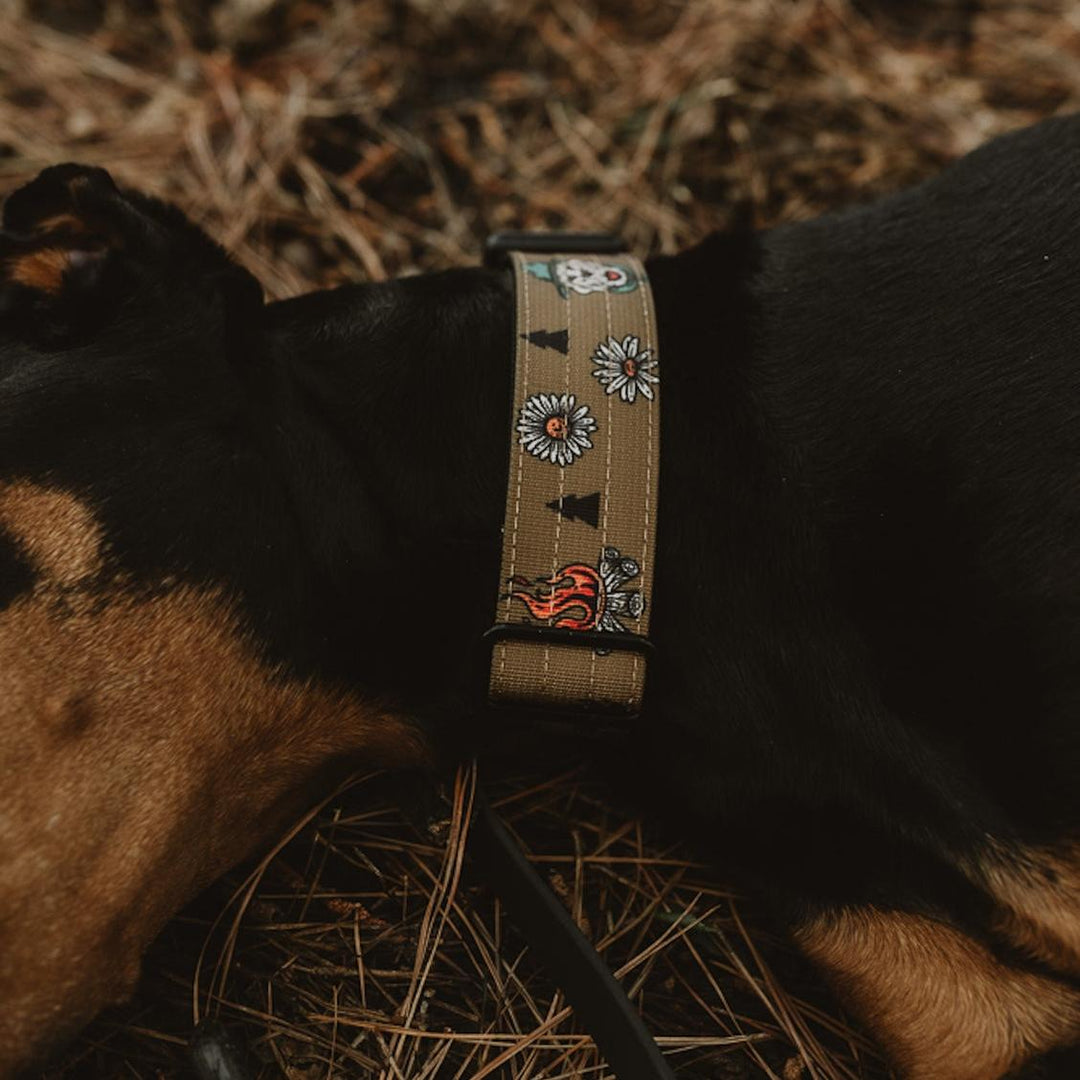 National Parks Collar