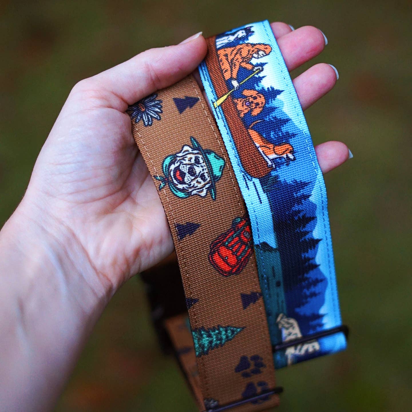 National Parks Collar