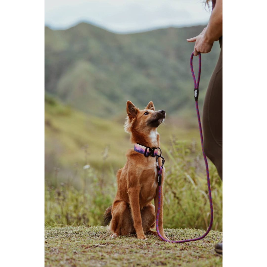 Mountain Sunrise Dog Collar