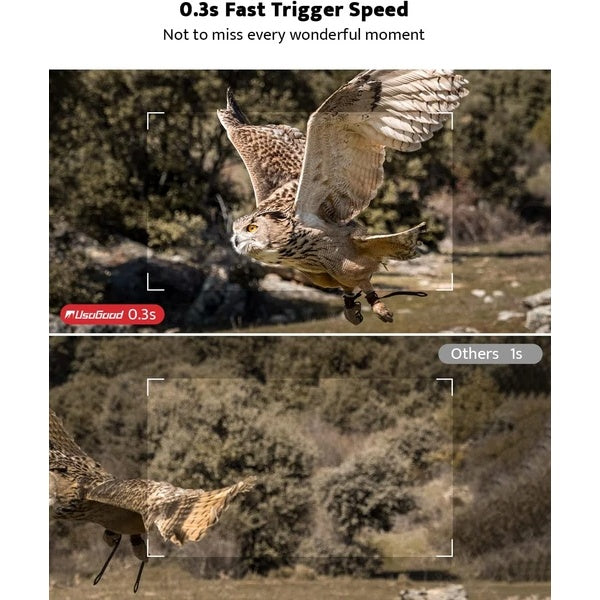 Trail Camera