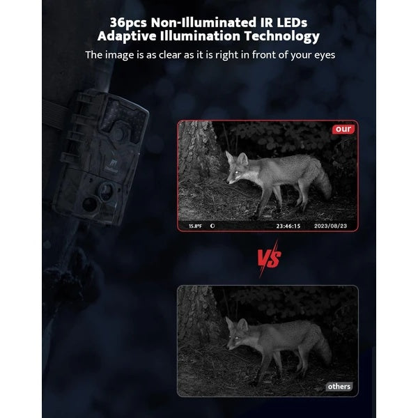 Trail Camera