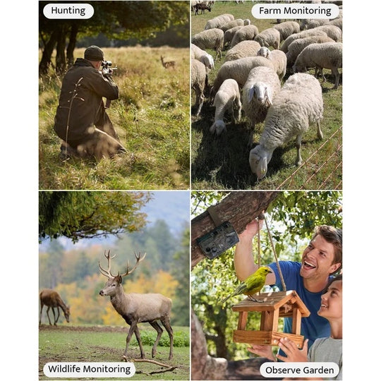 Trail Camera